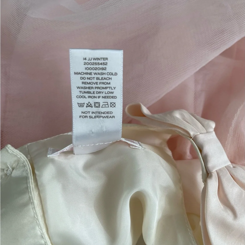 Janie and Jack vintage bow/tulle dress - 2